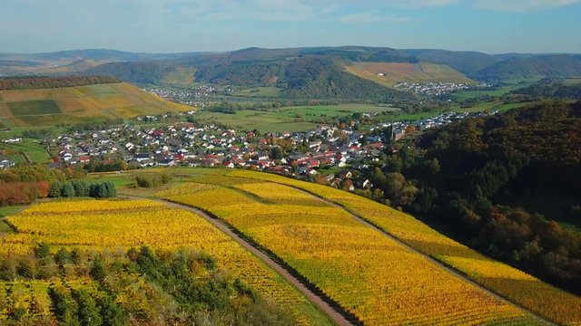 Aerial view of wine-village Ayl in autumn, Saar River, Saar Valley, Rhineland-Palatinate, Germany