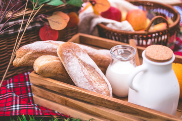 Summer picnic with a basket of food on blanket in the park.