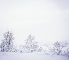Norwegian Winter Landscape
