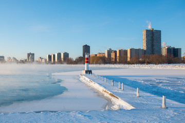 Polar Vortex Chicago