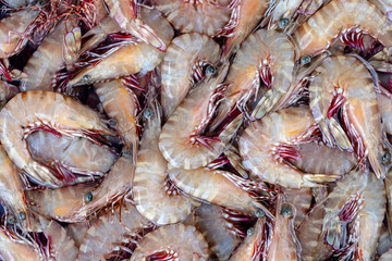 Sea fresh shrimps at street market in Thailand. Seafood concept.