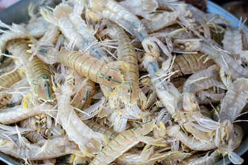 Sea fresh shrimps at street market in Thailand. Seafood concept.