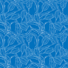 Vector monochrome floral seamless pattern whit tulip. Flowers on a blue background