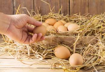 Collect fresh eggs from egg farms, put on rice straw for family consumption and sell -