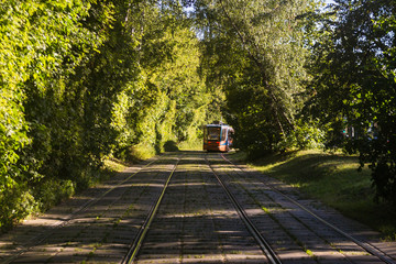 Tram rides through the summer park