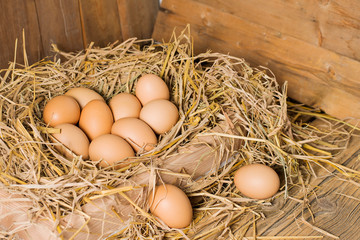 Fresh eggs from egg farms placed on rice straw for family consumption and sold -