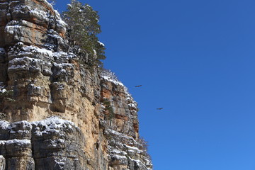 climber on top of mountain