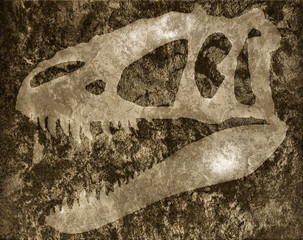 Skull of tyrannosaur on rock © Victoria Schaal