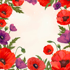 Poppy framed background