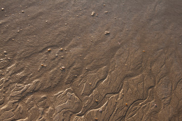 footprints in the sand