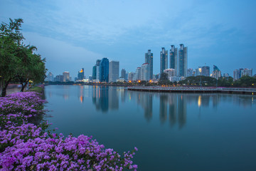 Background of flowers by the pool, wallpaper, high-rise buildings (condominiums, offices) that are located by the pool, parks, fitness areas of nearby residents.