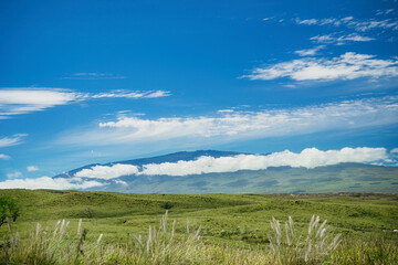 A view of Mauna Kea from Waimea on the Big Island of Hawaii. Green pasture land in the foreground....
