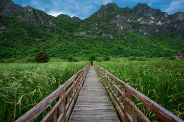 Fototapeta na wymiar Wallpaper, wooden bridge, mountain side, overlooking the surrounding trees, wind blowing all the time, cool weather, a vacation spot for travelers or viewpoints on the go.