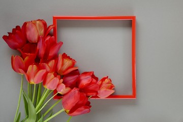 Flower frame. Flower card.Bright red tulips in red frame on a gray background. Mothers Day. International Women's Day.  copy space.