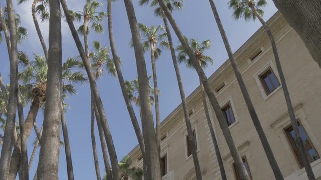View of Malaga Museum (Palacio de la Aduana), Malaga, Andalucia, Spain, Europe
