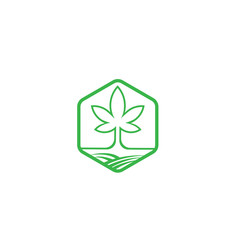 Creative marijuana health medical cannabis vector designs. Cannabis Leaf Line Art Logo design inspiration - Vector