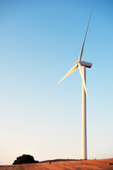 vertical photo of a windmill between crop fields