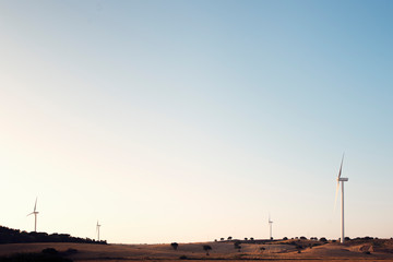 wind farm with windmills between fields