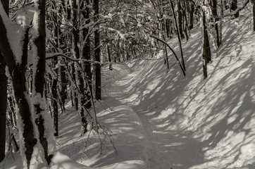 turystyczny szlak w Bieszczaadach  © wedrownik52