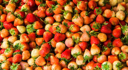  Red strewberry background.