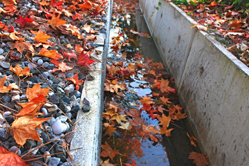 Autumn maple leaves and concrete outflow for water