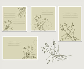 Postcards and cards with field, meadow herbs. Vector