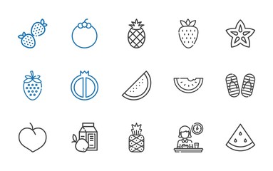 watermelon icons set