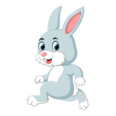 A cute rabbit running