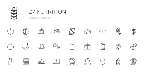 nutrition icons set
