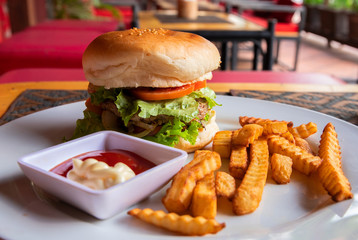 Yummy fresh burger and french fries on white plate served for lunch. Rich kids food menu closeup photo