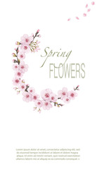 Flying sakura flowers. Theme design cover, invitation, booklet, printing. Magenta on white fond. Handmade background in oriental style.