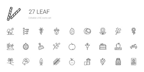 leaf icons set