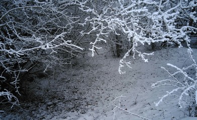 ice on the river