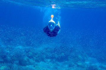 Young woman snorkeling undersea photo. Snorkel dives under water in fish school. Woman in full-face snorkeling mask