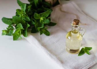 Obraz na płótnie Canvas Natural Mint Essential Oil in a Glass Bottle with Fresh Mint Leaves