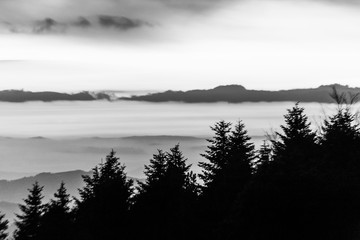 Trees silhouettes against the sky at dusk, with mountains layers in the background