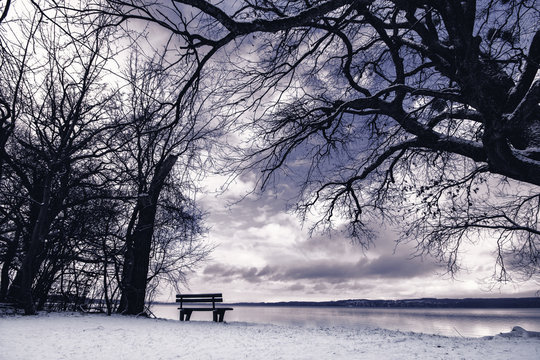 ammersee, strand, winter, bank