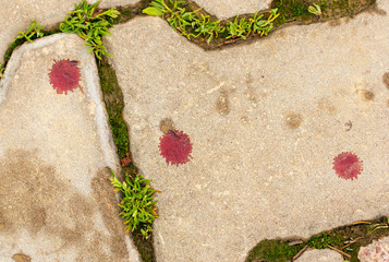 Blood drops on the pavement as background