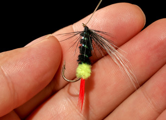 Feathers on the hook for fishing in the hand