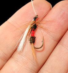 Feathers on the hook for fishing in the hand