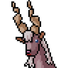 Fototapeta premium vector pixel art goat head