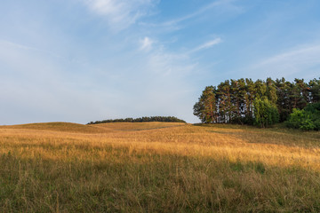 Obraz premium The landscape on island Ruegen, Germany