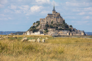 A flock of sheep grazing on the salt meadows close to the Mont Saint-Michel tidal island under a...