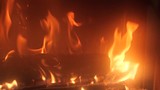 red flames of otgryaschih natural wood by the fireplace