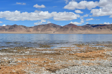 China, Tibet. High-mountain holy lake Tarok in summer in cloudy weather