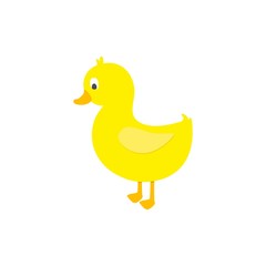 Cute duck on white background. Vector illustration.