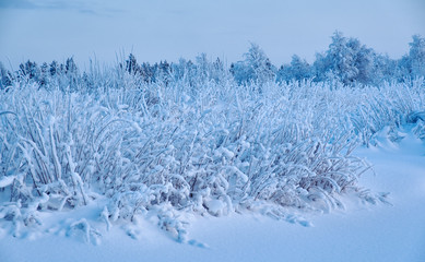 Beautiful Christmas landscape