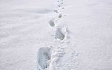 Lots of footsteps on the snow