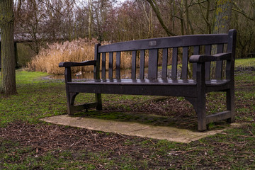 Wooden bench in the park near the river