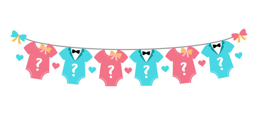 Gender reveal party,  baby shower, boy or girl